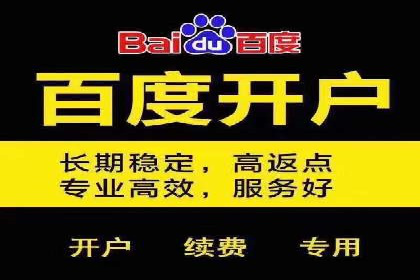 案例研究：SEM代运营服务公司的创新策略